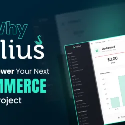 Why-Sylius-Should-Power-Your-Next-Ecommerce-Project