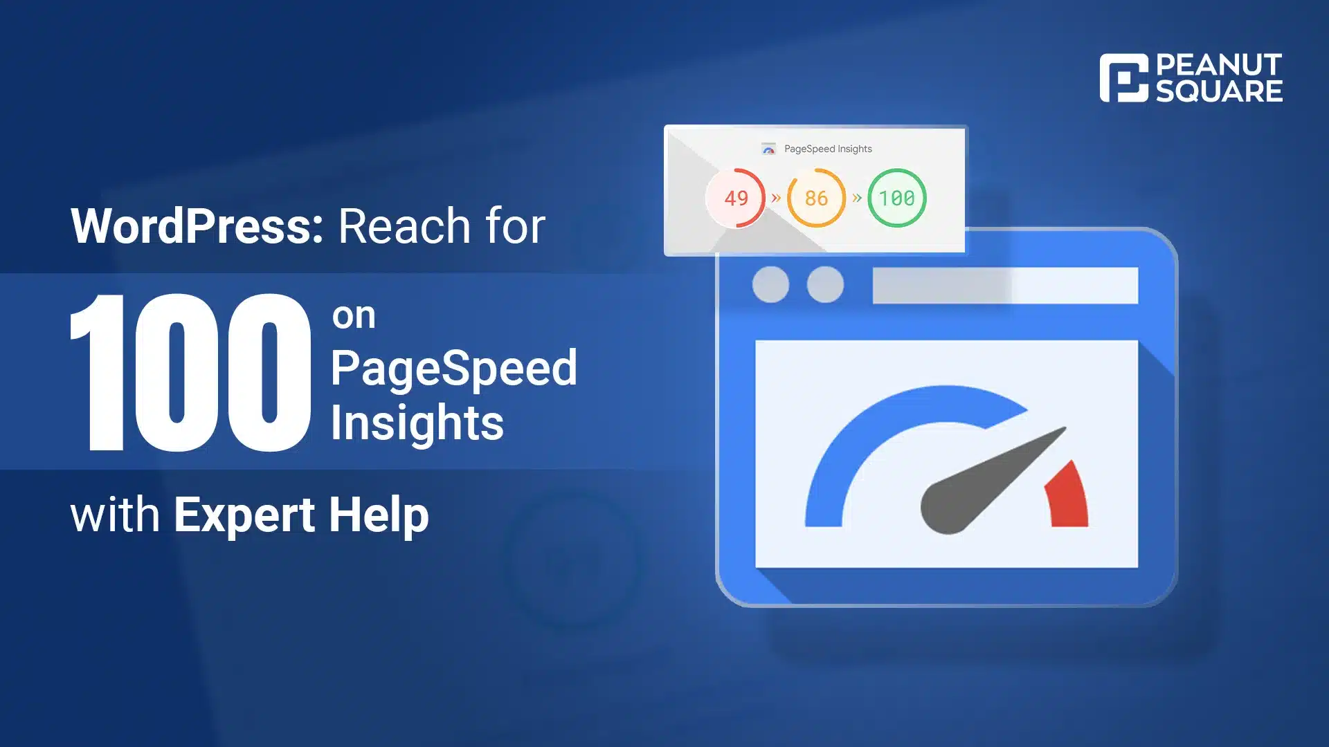 WordPress Reach for 100 on PageSpeed Insights with Expert Help