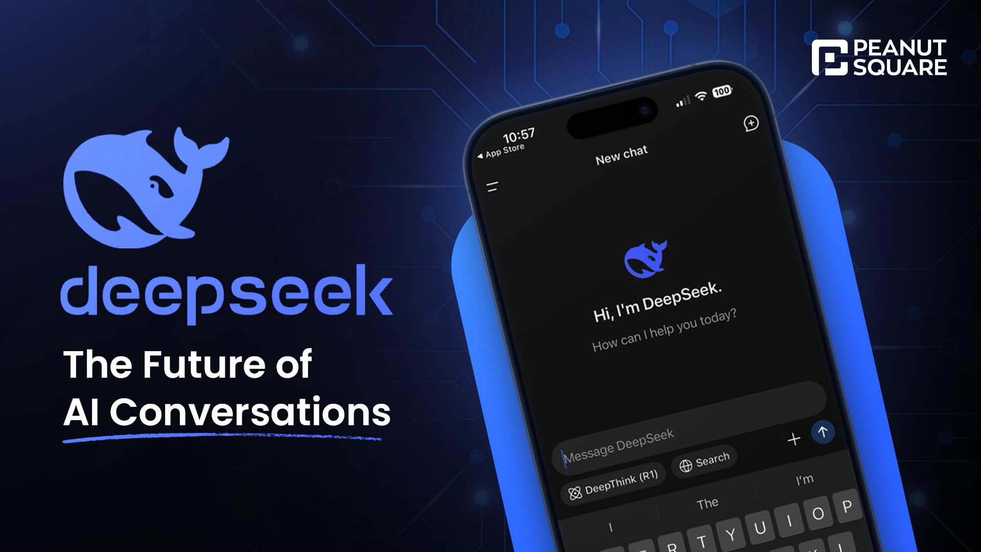 DeepSeek- The Future of AI Conversations